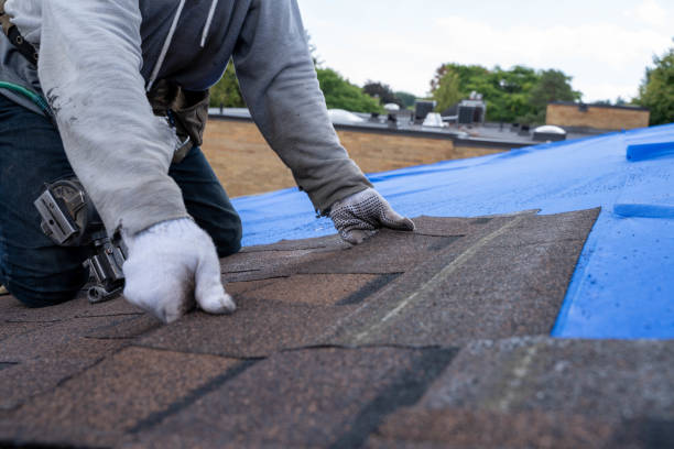Best Shingle Roofing Installation  in Crandall, TX