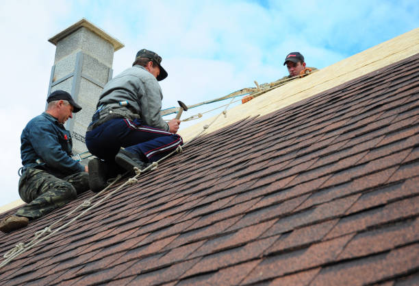Best Metal Roofing Contractor  in Crandall, TX